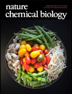 Cover of 2017 Nature Chemical Biology featuring legumes and tomatoes