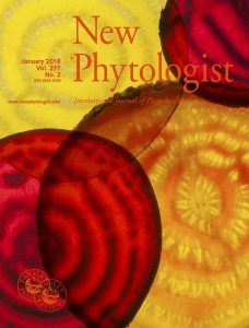 New Phytologist cover