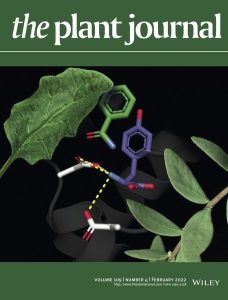 Plant Journal Cover from 2022 publication of Sam and Jorge's work