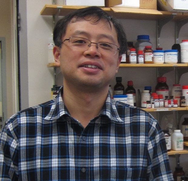 Chen Xuan