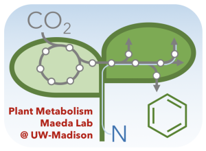 Plant Metabolism Co2 in N out, Maeda Lab