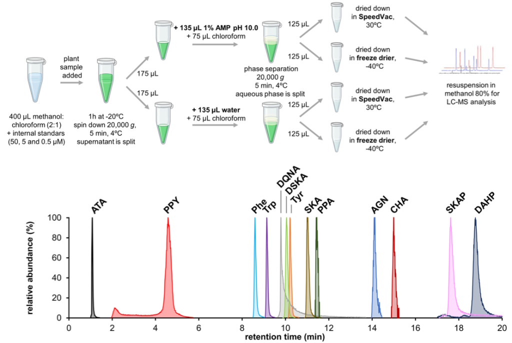 Diagram of how various pipet substances can be used to measure the incidence of various compounds