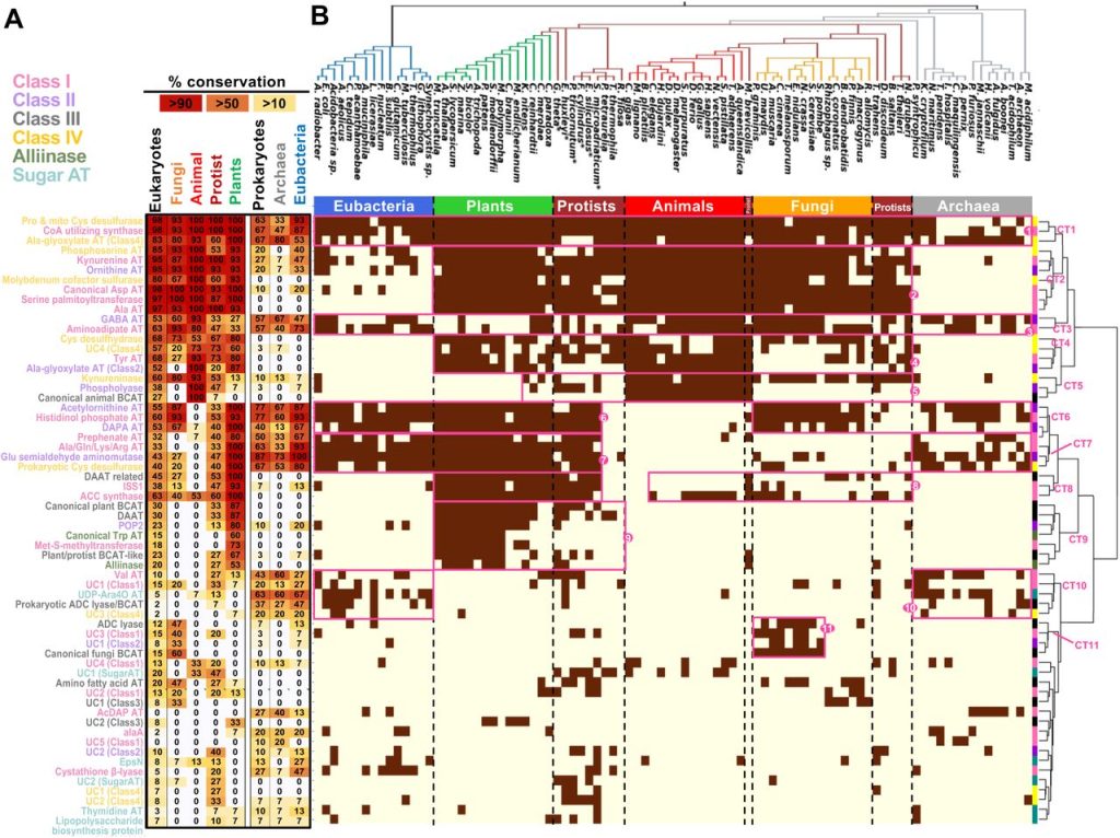 A table that maps the validity of the search done with SciFinder to applicable plants and animals.