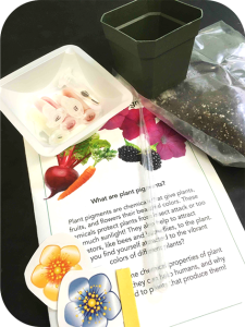 Pigment Kit for outreach