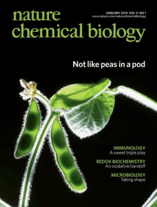 Cover of Nature Chemical Biology featuring Soybeans. Craig's paper on structure-function analyses of legume PDH enzyme