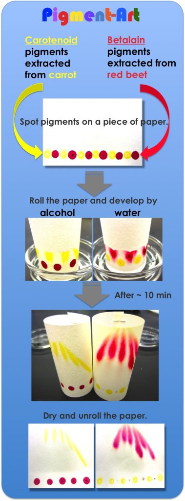 Pigment Art How TO
